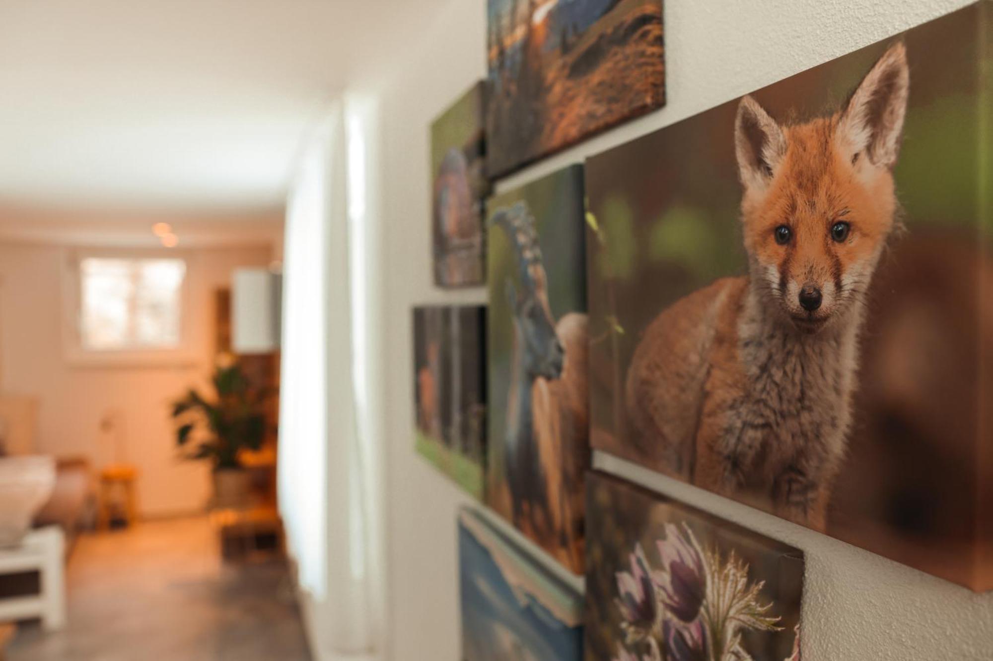 Haus Meierhuesli Malans Bagian luar foto